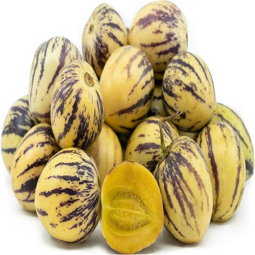 Pepino Melon Seeds – Heirloom, Non-GMO, High Germination Organic Garden Seeds