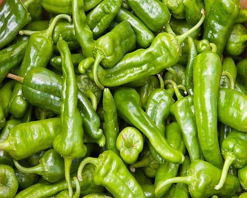 Chili Pepper Green Seeds – Heirloom, Non-GMO, High Germination Organic Garden Seeds Planting