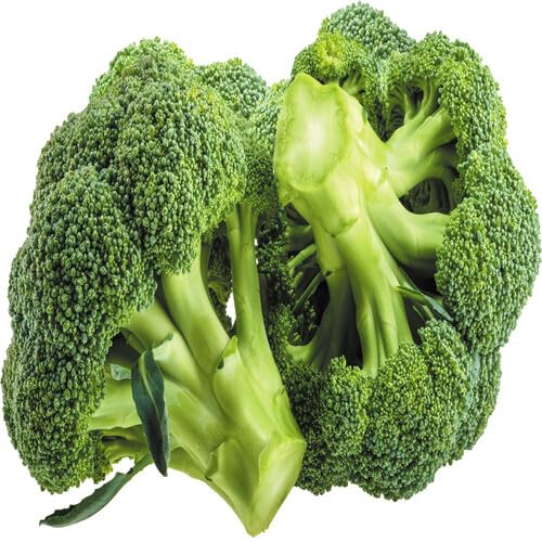 Green Broccoli Seeds – Heirloom, Non-GMO, High Germination Organic Garden Seeds Planting