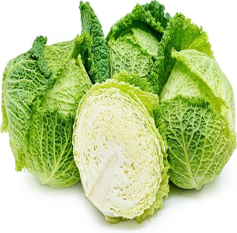 Green Cabbage Seeds – Heirloom, Non-GMO, High Germination Organic Garden Seeds Planting