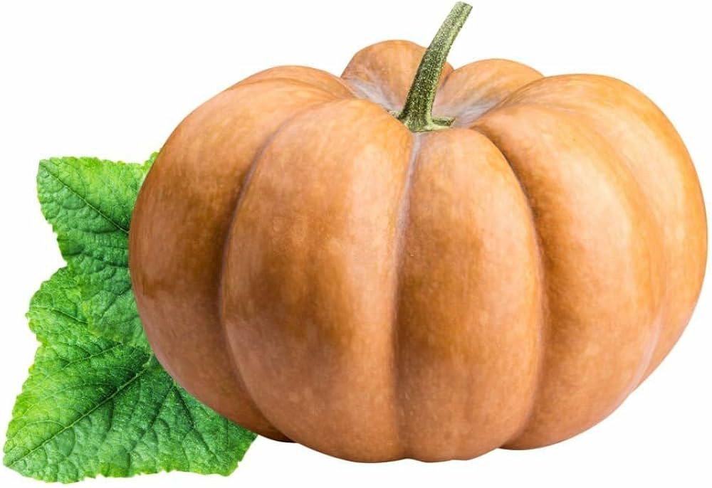 calabaza pumpkin flower seeds