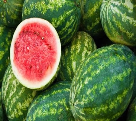 Watermelon Seeds – Heirloom, Non-GMO, High Germination Organic Garden Seeds