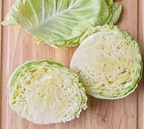 Green Cabbage Seeds – Heirloom, Non-GMO, High Germination Organic Garden Seeds Planting