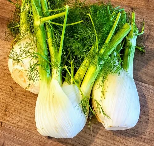 Fennel Seeds – Heirloom, Non-GMO, High Germination Organic Garden Seeds Planting