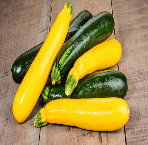 Mixed Zucchini Seeds – Heirloom Non-GMO Organic Vegetable Garden Seeds for Planting