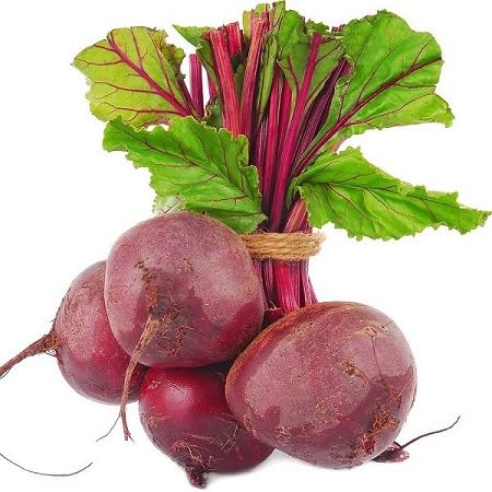 Rote Bete Samen – Alte Sorte, gentechnikfrei, hohe Keimfähigkeit Bio-Gartensamen pflanzen