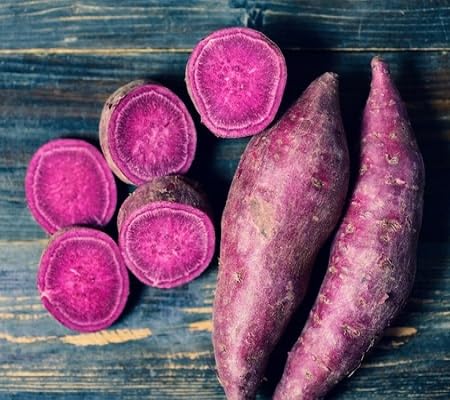 Purple Sweet Potato Seeds – Heirloom, Non-GMO, High Germination Organic Garden Seeds Planting