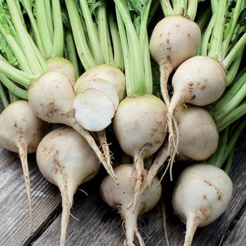 Rote Bete Samen – Alte Sorte, gentechnikfrei, hohe Keimfähigkeit Bio-Gartensamen pflanzen