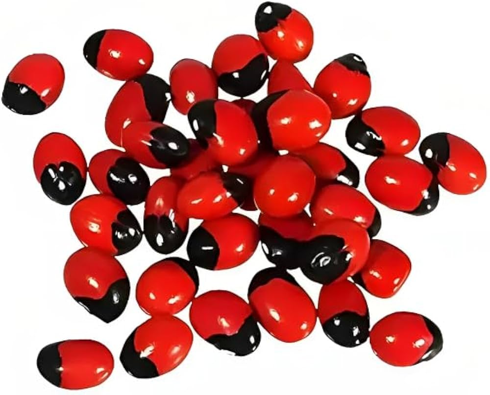 ravanello sileziya flower seeds