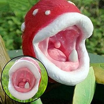 redtrapheirloomnongmo flower seeds