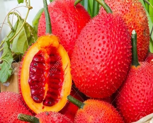 Red Gac Seeds – Heirloom, Non-GMO, High Germination Organic Garden Seeds