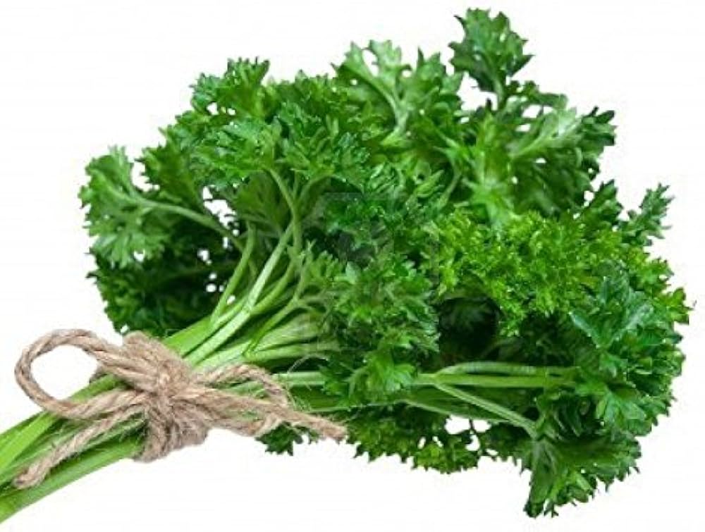 Parsley Green Seeds for Planting – Heirloom Non-GMO, High Germination Organic Garden Seeds