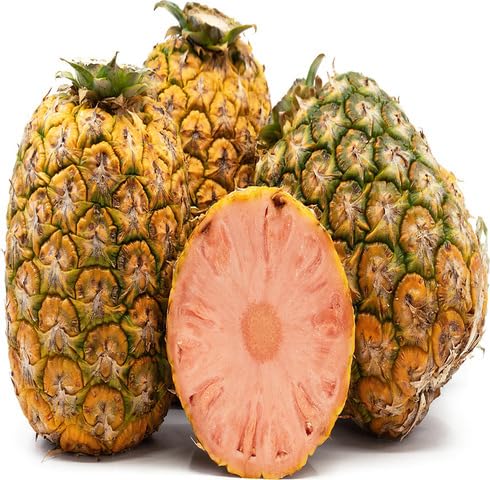 Pink Pineapple Seeds – Heirloom Non-GMO High Germination Organic Garden Seeds