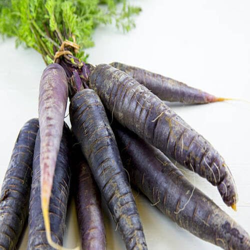 Black Carrot Black – Heirloom, Non-GMO, High Germination Organic Garden Seeds Planting
