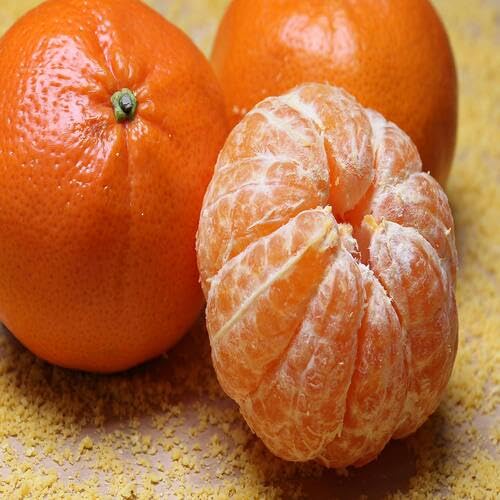 Orange Fruit Seeds – Heirloom, Non-GMO, High Germination Organic Garden Seeds
