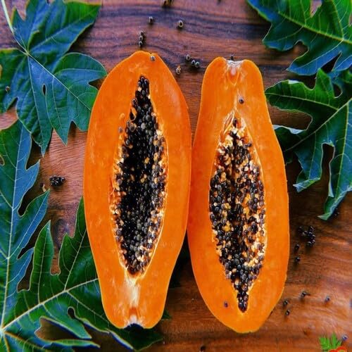 Orange Papaya Seeds – Heirloom, Non-GMO, High Germination Organic Garden Seeds