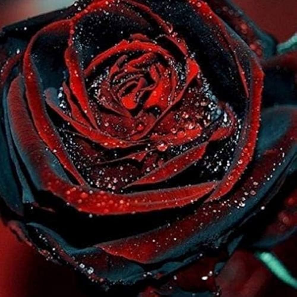 multiple colors flower seeds