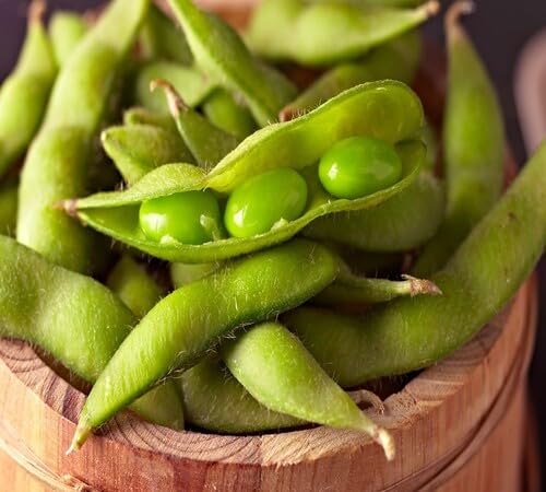 Semillas de soja – Tradicionales, sin OMG, alta germinación, semillas orgánicas para jardín