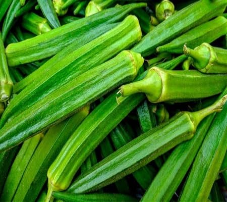 Okra Green Seeds – Heirloom, Non-GMO, High Germination Organic Garden Seeds Planting
