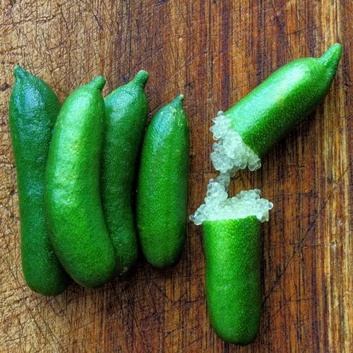 Green Finger Lime Seeds – Heirloom, Non-GMO, High Germination Organic Garden Seeds