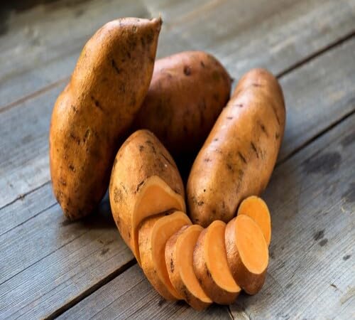 Sweet Potato Brown Seeds – Heirloom, Non-GMO, High Germination Organic Garden Seeds Planting