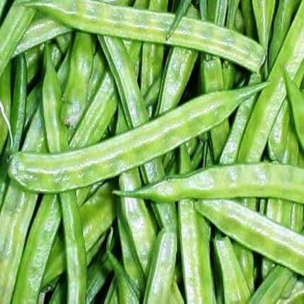 Green Cluster Beans Green Seeds – Heirloom, Non-GMO, High Germination Organic Garden Seeds Planting