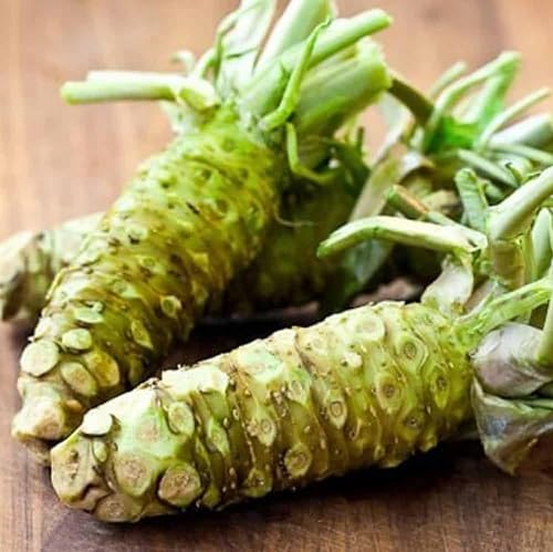 Horseradish Green Seeds – Heirloom, Non-GMO, High Germination Organic Garden Seeds Planting