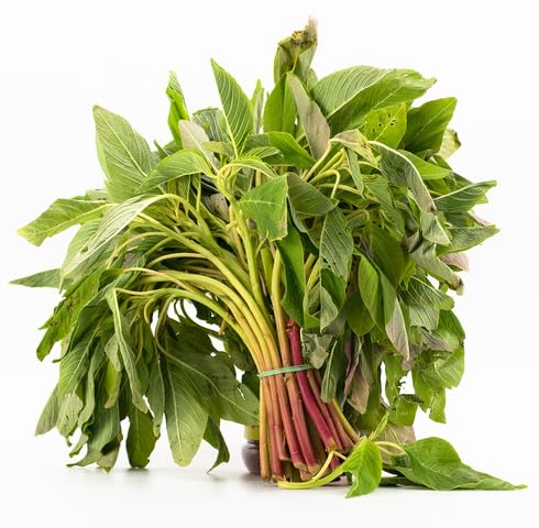 Green Callaloo Seeds – Heirloom, Non-GMO, High Germination Organic Garden Seeds Planting