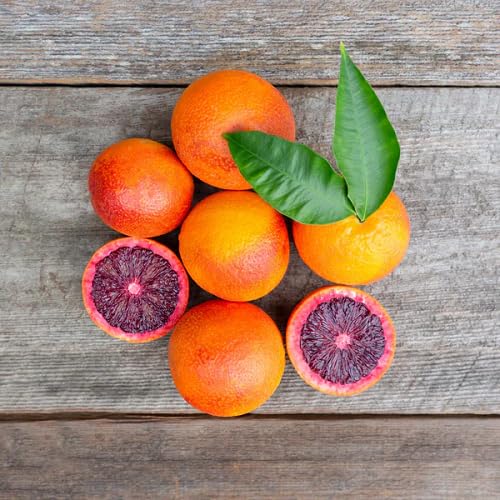 Red Orange Seeds – Heirloom, Non-GMO, High Germination Organic Garden Seeds