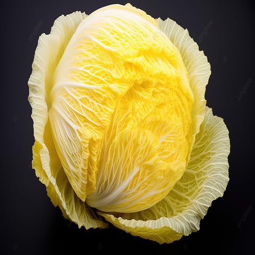 Yellow Cabbage Seeds – Heirloom, Non-GMO, High Germination Organic Garden Seeds Planting