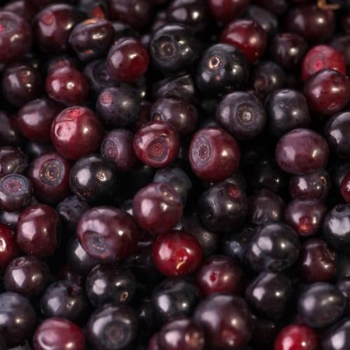 Huckleberry Seeds – Heirloom, Non-GMO, High Germination Organic Garden Seeds