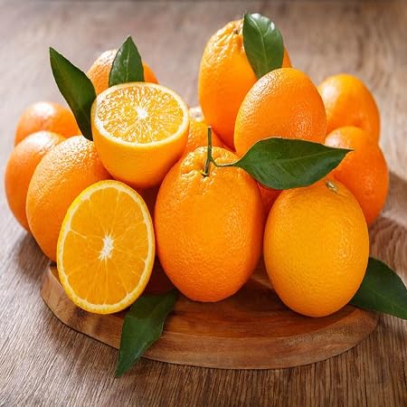 Orange Orange Seeds – Heirloom, Non-GMO, High Germination Organic Garden Seeds