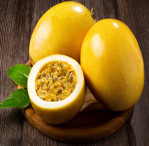 Yellow Passion Seeds Heirloom Non-GMO High Germination Organic Garden Seeds for Planting