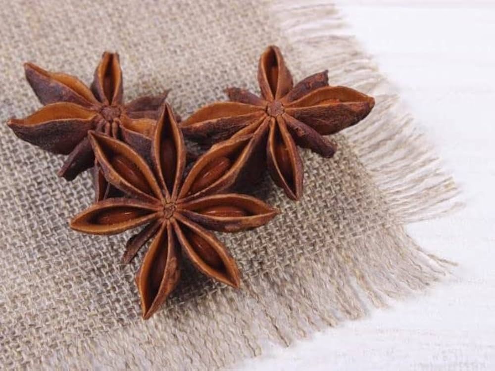 anise myrrhis flower seeds