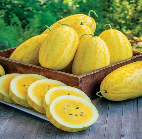 Water Melon Seeds Heirloom Non-GMO High Germination Organic Garden Seeds for Planting