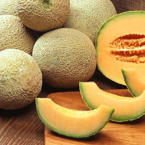 Musk Melon Seeds – Heirloom, Non-GMO, High Germination Organic Garden Seeds