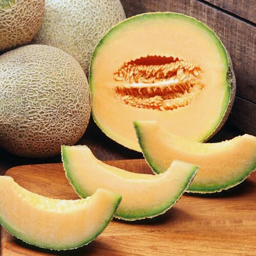 Musk Melon Seeds – Heirloom, Non-GMO, High Germination Organic Garden Seeds