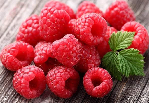 Red Raspberry Seeds – Heirloom, Non-GMO, High Germination Organic Garden Seeds