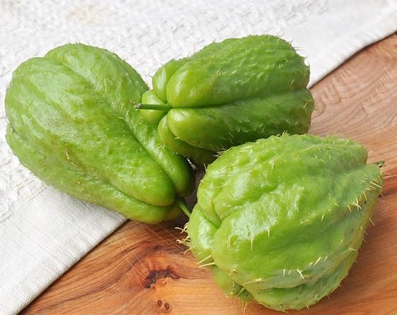 Green Chayote Seeds – Heirloom, Non-GMO, High Germination Organic Garden Seeds Planting