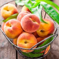Nemaguard Peach Fruit Tree Seeds for Planting – Non-GMO Heirloom High Germination Organic Garden Seeds for Sweet Juicy Peaches