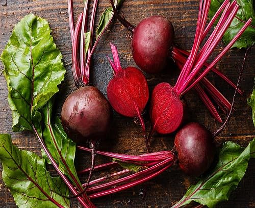 Maroon Beetroot Seeds – Heirloom, Non-GMO, High Germination Organic Garden Seeds Planting