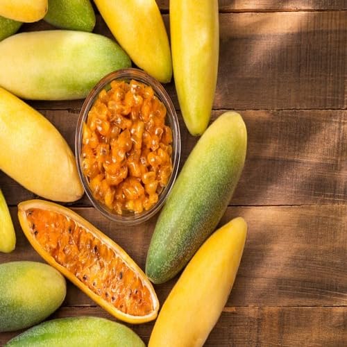 Yellow Banana Passion Seeds Heirloom Non-GMO High Germination Organic Garden Seeds for Planting