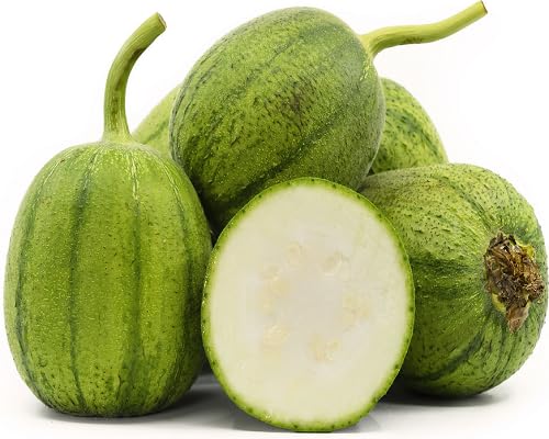 Luffa Seeds – Heirloom, Non-GMO, High Germination Organic Garden Seeds Planting
