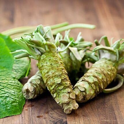 Wasabi Grüne Samen – Alte Sorte, gentechnikfrei, hohe Keimrate Bio-Gartensamen zur Pflanzung