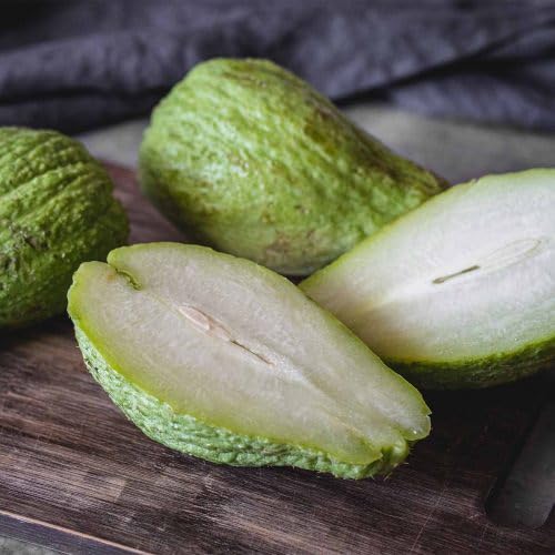 Chayote Seeds – Heirloom, Non-GMO, High Germination Organic Garden Seeds Planting
