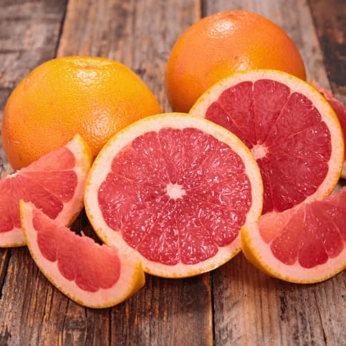 Red Grapefruit Seeds – Heirloom, Non-GMO, High Germination Organic Garden Seeds