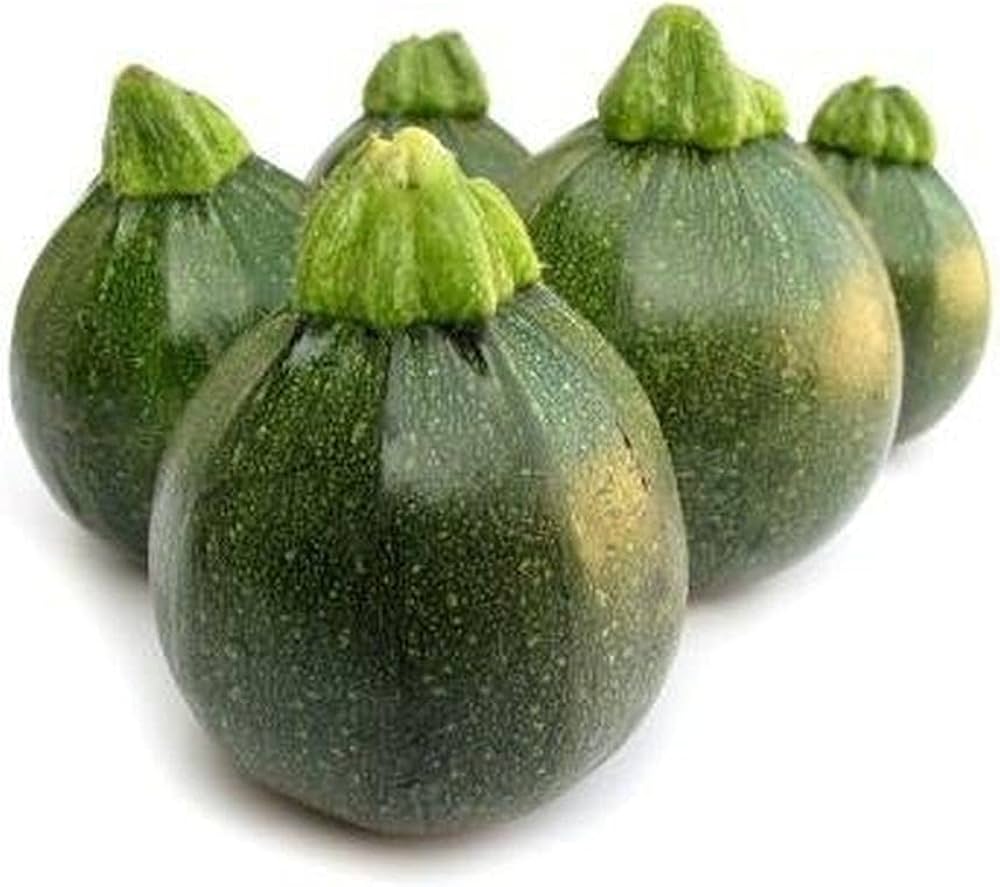 Summer Squash herb seeds