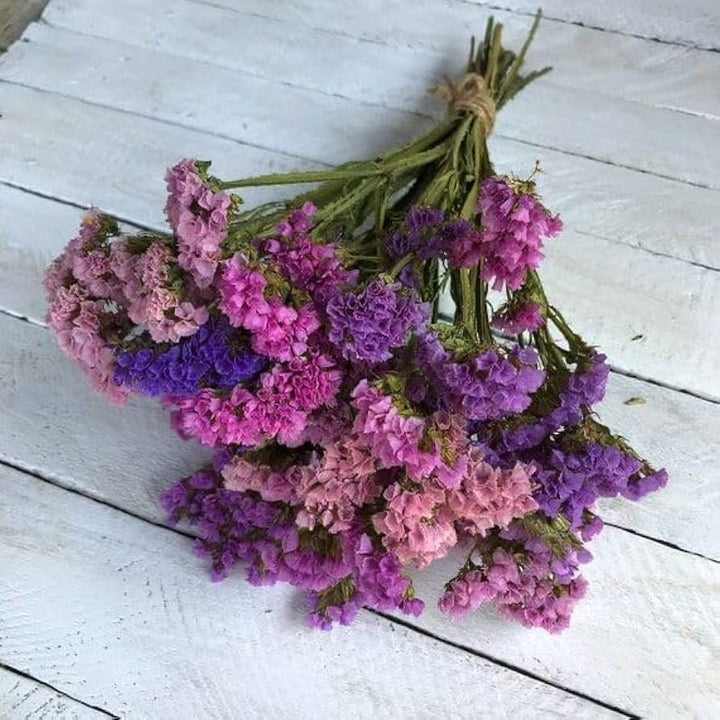 Purple Statice Flower Seeds Heirloom Non-GMO High Germination Organic Garden Seeds for Planting