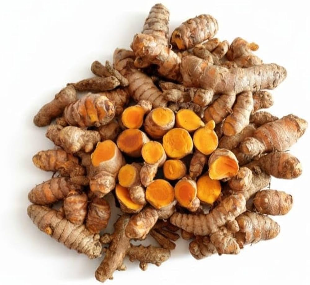 Brown Turmeric Root Seeds for Planting – Organic, Non-GMO, Heirloom Garden Seeds