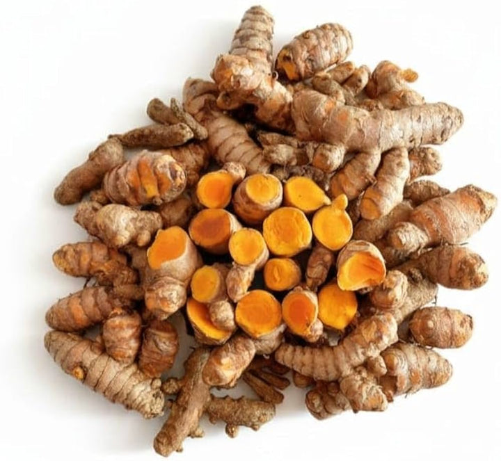 Brown Turmeric Root Seeds for Planting – Organic, Non-GMO, Heirloom Garden Seeds